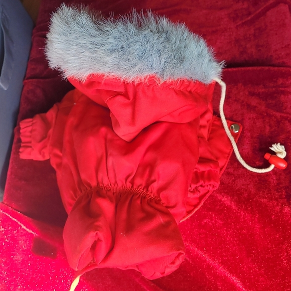 Parka 🐕 (S) - Picture 3 of 8